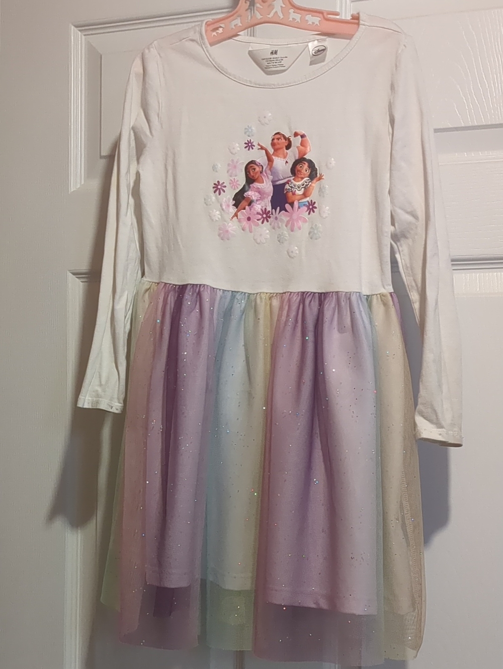 H&M Encanto Dress Size 8